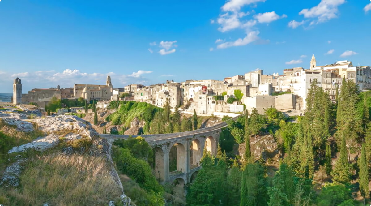 ¿Cuáles son las opciones de vehículos más populares en Gravina In Puglia?